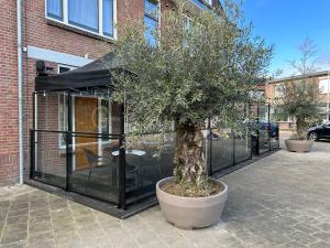 un albero in un grande vaso accanto a un edificio di Boutique Hotel Noordeinde a Rijnsburg