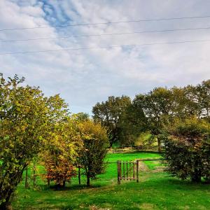 a field with trees and a fence in the grass at LE FIEF GUIBERT Hôtel particulier Maison d'hôtes et Gîtes in Le Poiré-sur-Vie