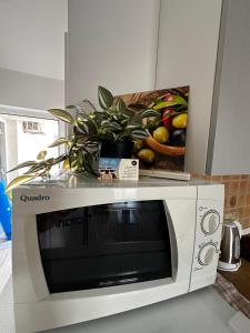 un four micro-ondes blanc avec une plante au-dessus dans l'établissement Villa Mičić, à Zadar