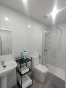 A bathroom at Apartamento HM en Vista Alegre Madrid