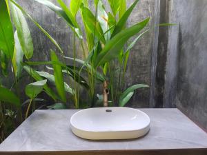 um lavatório branco sobre uma mesa com uma planta em Meexok guesthouse em Nongkhiaw