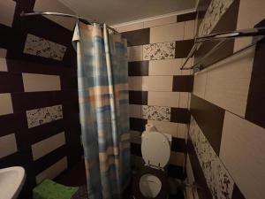 uma casa de banho com um WC e um chuveiro em Pensiunea Farfuria plină em Buşteni