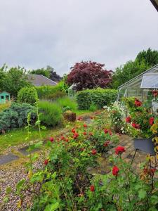 un jardín con flores rojas en un invernadero en Cozy villa, en Aarhus