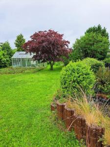 un patio verde con un edificio y un árbol en Cozy villa, en Aarhus