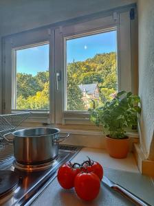 een aanrecht met tomaten op het fornuis en een raam bij LATE ESCAPE DEAL ZUM JAHRESWECHSEL - Gemütliches Studio unterm Dach mit Blick über Kinzigtal in Gelnhausen