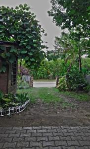 Un jardín fuera de Cabañas Gesell