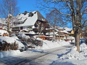 Hochschwarzwald-Hof a l'hivern