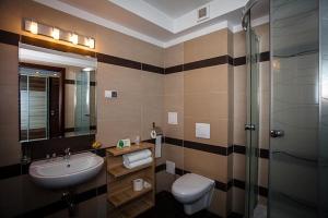 a bathroom with a sink and a toilet and a shower at Hotel Alpex in Zabrze