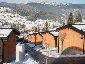 una fila di edifici con neve per terra di Phoenix Relax Park a Bukovel