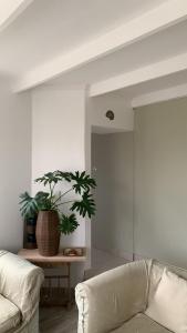 a living room with a couch and a potted plant at Casa Amonite Hostel Boutique in Puerto Madryn