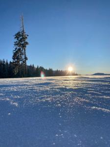 um campo coberto de neve com o sol ao fundo em Appartementhaus Hochkönig - Panoramablick em Mühlbach am Hochkönig