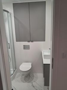 Koupelna v ubytování Apartament KOŚCIUSZKI