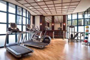 Seminaris Hotel Nürnberg tesisinde fitness merkezi ve/veya fitness olanakları