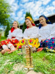 Huéspedes de Floare de Maramures 1