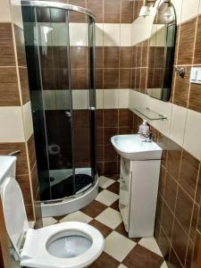 uma casa de banho com um chuveiro, um WC e um lavatório. em Hotel Sportowy em Świdnica