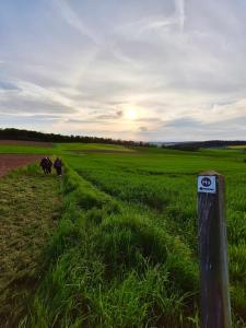 Naturlandskap nära hotellet