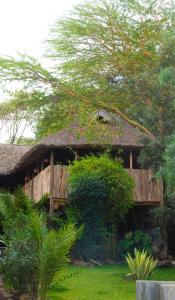 Taman di luar Merinja Guest House