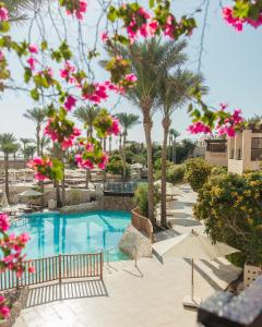 Piscina a The Grand Hotel Sharm El Sheikh o a prop