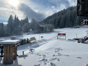 pokryte śniegiem pole ze znakami w śniegu w obiekcie Bergpension Battagliahütte w mieście Malix