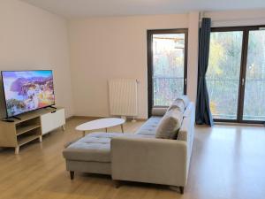 salon z kanapą i telewizorem z płaskim ekranem w obiekcie Appartement entier 56 m2 aux portes de Genève w mieście Viry