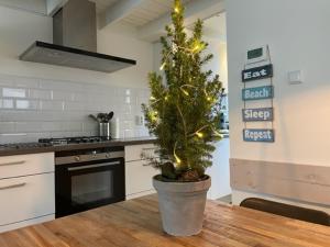 une cuisine avec un arbre de Noël dans un pot sur une table dans l'établissement ZeeBedStay, à Noordwijk aan Zee