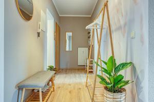 Habitación con escalera, silla y plantas en Ferienwohnung Ferdinand, en Bad Langensalza