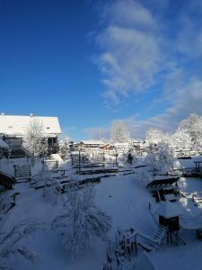 een sneeuwbedekte tuin met banken en een gebouw bij Ethno Houses Plitvice Lakes Hotel in Plitvica selo