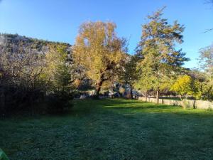 un campo de césped con árboles en el fondo en Apartman Maida, en Blagaj