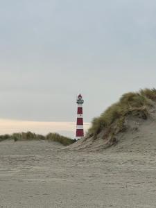 Naturlandskabet i nærheden af lejligheden