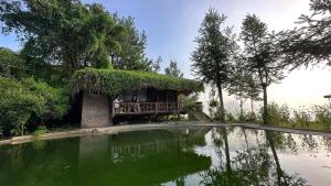 un gruppo di persone seduti su un balcone vicino a un laghetto di Hello Mu Cang Chai Homestay & Tours a Mù Cang Chải