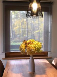 eine Vase mit gelben Blumen auf einem Tisch vor einem Fenster in der Unterkunft Small resort Pini & SPA in Jūrmala