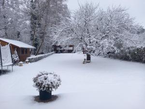 um gato sentado num quintal coberto de neve em Shubu Zen Vendégház em Szilvásvárad