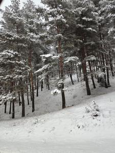 겨울의 cozy apartment in Bakuriani