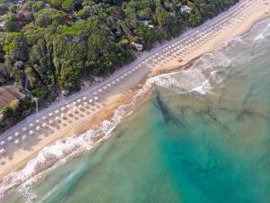 サン·ヴィンチェンツォにあるHotel Riva degli Etruschiの海岸沿いの道路の上面