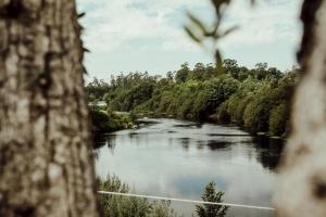 een uitzicht op een rivier door een boom bij Quinta das Areias - Solar da Pena in Braga