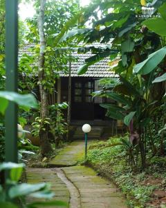 Vườn quanh Raindrops Resorts Wayanad