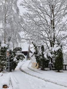 uma rua coberta de neve com árvores e uma casa em Rare Forest Retreat em Bran