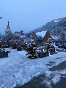 um jardim de neve com árvores de Natal e uma igreja em Radsor Hotel em Rîşnov