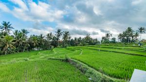 Puutarhaa majoituspaikan As I Am Ubud Retreat ulkopuolella