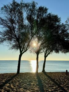 dos árboles en una playa con el sol detrás de ellos en BADAROSA House10min to BARCELONA City&NearTo BEACH, en Badalona