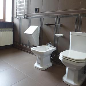 uma casa de banho com um WC e um lavatório em Henri Benoît maison d'hôtes гостьовий будинок em Horenka