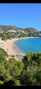 a beach with a group of people in the water at Appartement Almadrava Roses in Roses