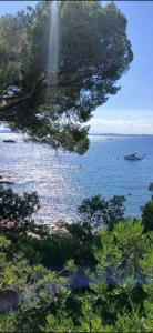 a view of a large body of water with trees at Appartement Almadrava Roses in Roses