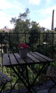 una mesa de picnic de madera con una maceta. en Studios Cedofeita, en Oporto