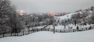 Bran Cottage през зимата