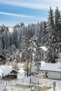 Готельний комплекс Парламент, Яблуниця during the winter