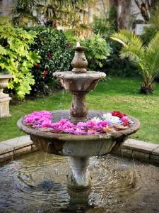 une fontaine en pierre avec des fleurs dans le jardin dans l'établissement No5 Durley Road - Contemporary serviced rooms and suites - no food available, à Bournemouth