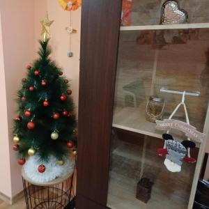 Un arbre de Noël sur un tabouret à côté d'une porte en verre dans l'établissement Sunflower Apartment City Center, à Plovdiv