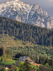 uma casa numa colina em frente a uma montanha em The Pines Bucegi Lodge em Bran