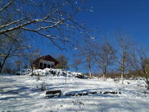 une maison dans un champ enneigé avec des arbres dans l'établissement Holiday home Nanin konak 2, à Vrdnik